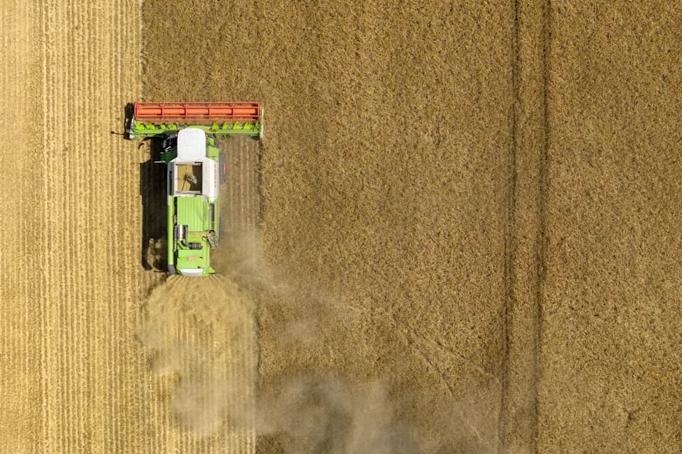 Heat and Drought Threaten Germany’s Harvest — Farmers Warn of Widespread Crop Losses
