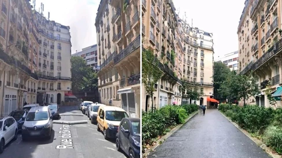 How Greener Paris Streets Cut Heat-Related Deaths — Trees Linked to 23.5% Lower Risk