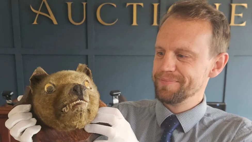 Mounted Thylacine Head Sells for £60,000 After Being Mistaken for a Fox