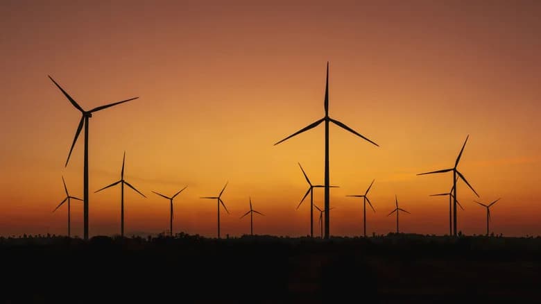 Top 5 U.S. States With the Most Wind Turbines — How Much Electricity They Produce (2024–2025)