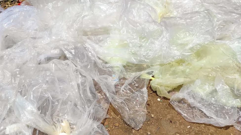 Study: Treated Polyethylene and Polypropylene Break Down Completely in Soil Within Two Years — No Microplastics Detected