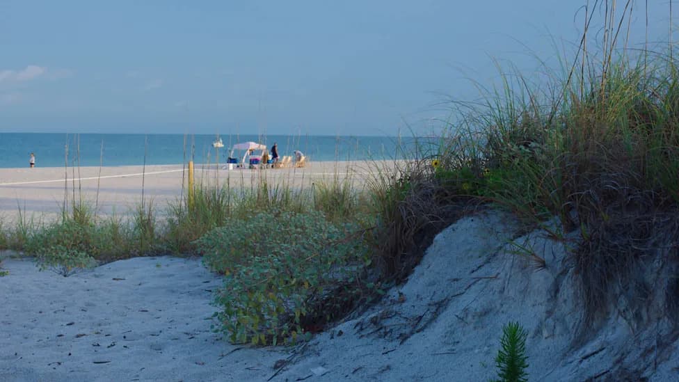 Two Florida Business Owners Charged After 1,500 Pesticide-Filled Mothballs Scattered Across Nesting Beach