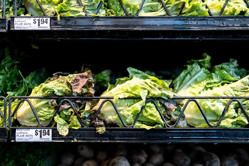 Most Iceberg Lettuce Is Safe — What Shoppers Should Know About the Cyclospora Outbreak