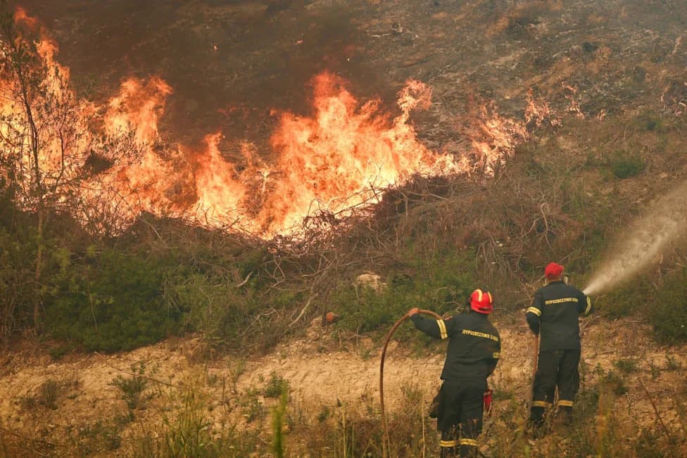 282 Animals Rescued After Attica Wildfires; 131 Reunited With Owners