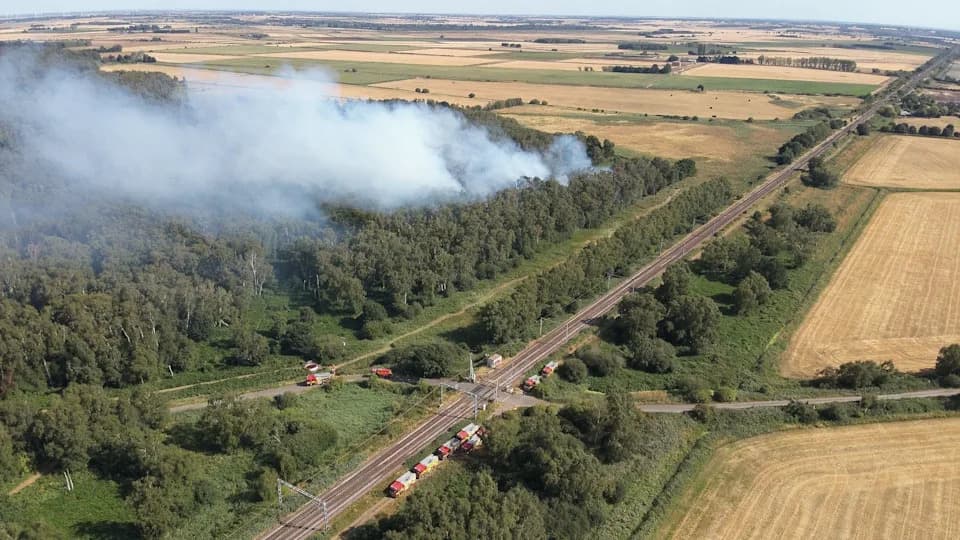 Wildfire Risk Threatens Rare Species at Kings Dyke Nature Reserve