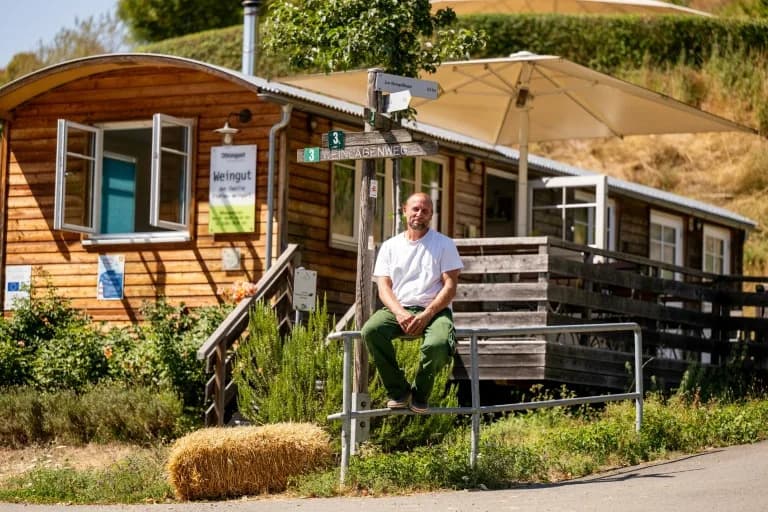 Heatwave Forces German Winegrowers to Mulch, Irrigate and Harvest Earlier