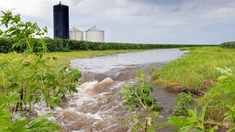 Oregon Judge Lets Class Action Proceed Over Nitrate-Tainted Water Affecting 46,000 Residents