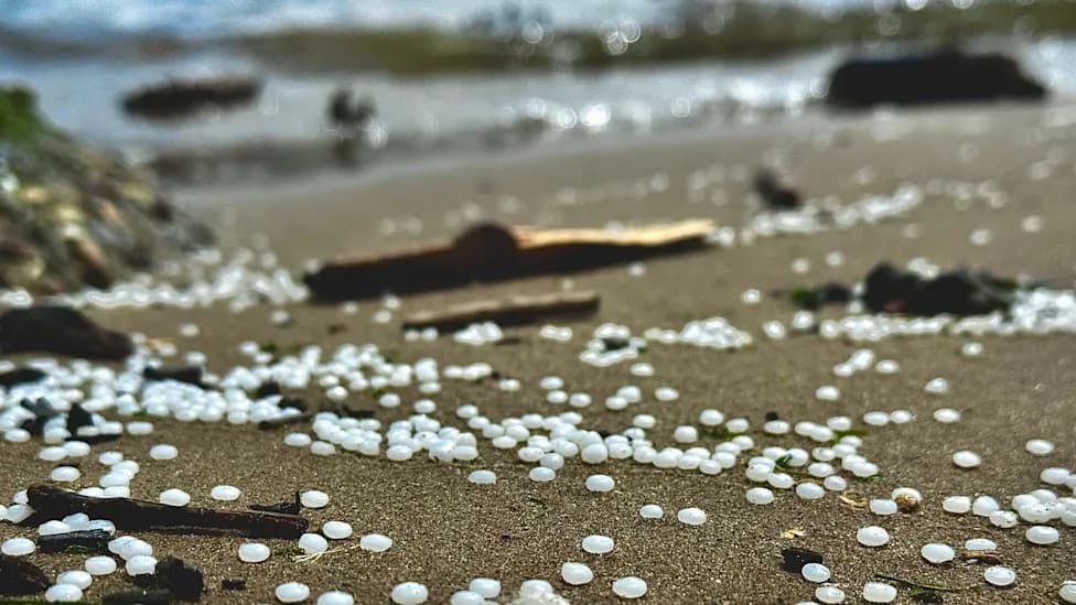 Illinois First In Great Lakes And Mississippi Watersheds To Label 'Nurdles' As Pollution, Requires Spill Reporting