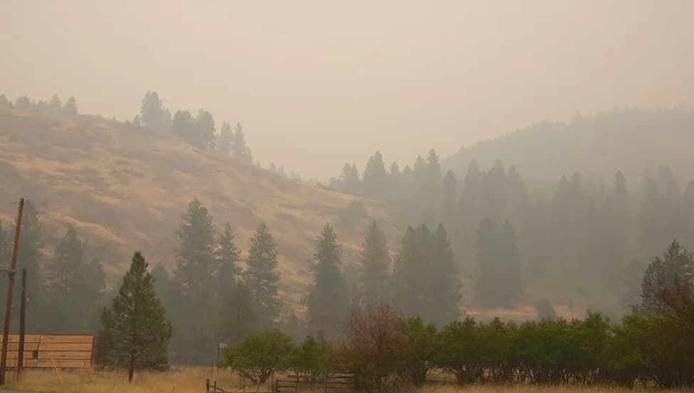Wildfire Smoke Cuts Solar Output By About 20% — Even On Clear, Sunny Days