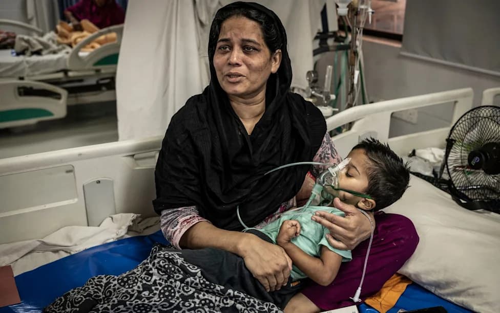 Why Rabies Deaths Are Rising — And What It Will Take To Stop Them