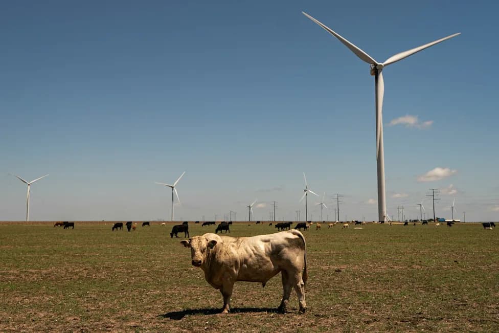 How Trump Country Became a Renewable Energy Powerhouse