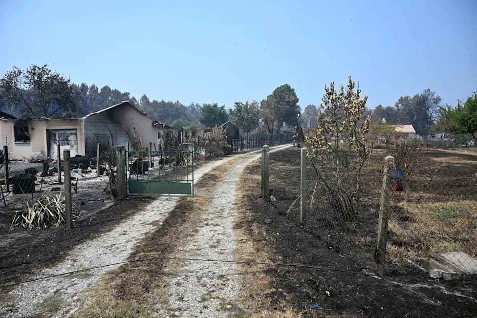 After the Bordeaux Wildfire: How France Will Clear, Salvage and Rebuild 42,000 Hectares of Forest