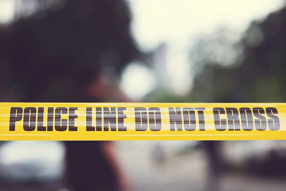 Two Georgia Siblings Found Safe After Alleged Babysitter Kidnapping, Police Say