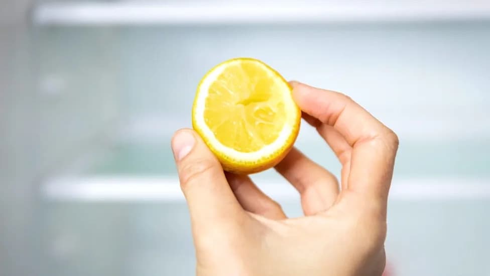 A Molecule in Citrus Peels Reverses Signs of Liver Aging in Mice