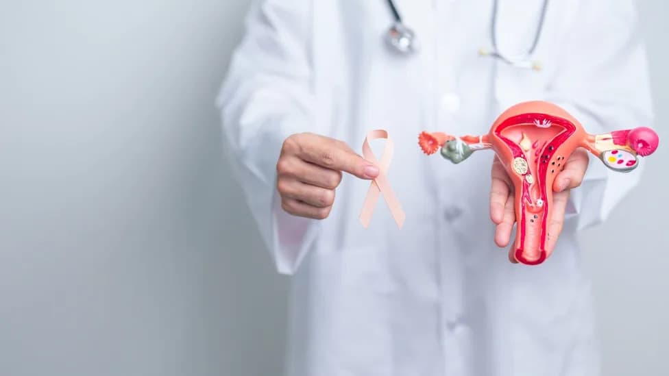 Faeth’s Oral PIKTOR + Paclitaxel Wins FDA Fast Track for Advanced Endometrial Cancer