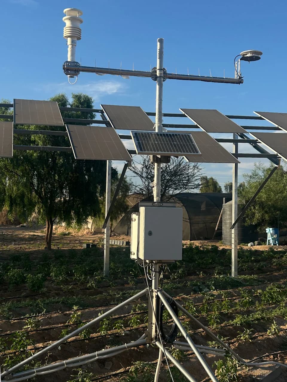 Egypt's Farmers Are Growing Crops Under Solar Panels — How Agrivoltaics Saves Water and Generates Power
