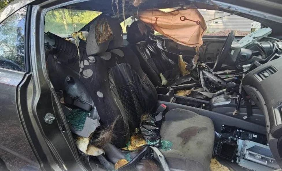 Approx. 300-Pound Black Bear Dies After Becoming Trapped Inside Unlocked Car Near Colorado Springs
