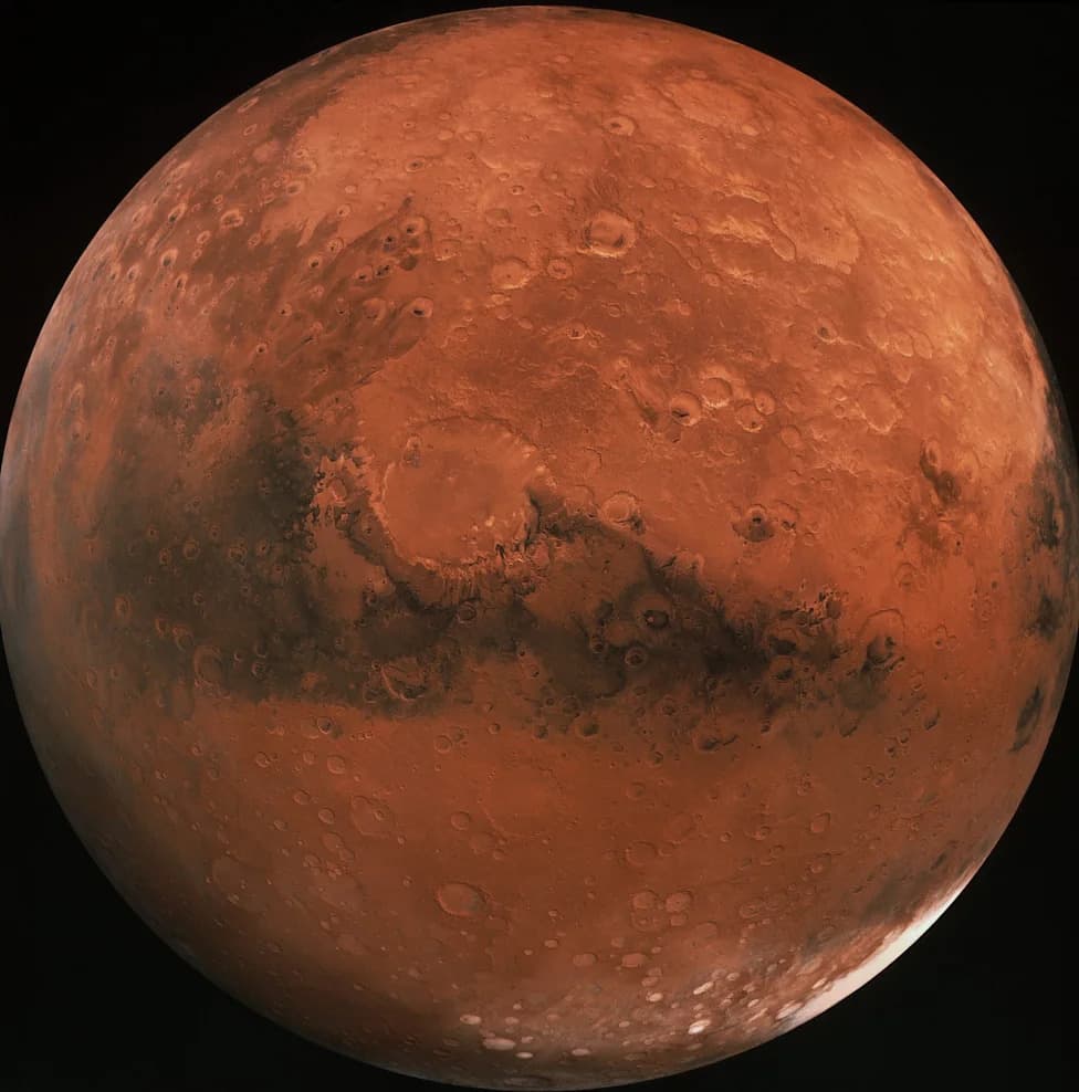 Clock's Ticking: SpaceX’s Race To Land On Mars — Can Starship Deliver By 2030?