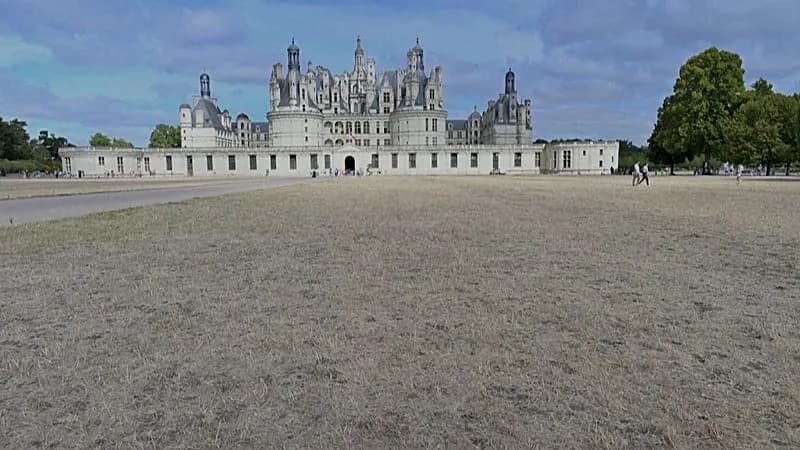 Chambord's Historic Gardens Rethink Planting as Heatwaves and Drought Take Their Toll