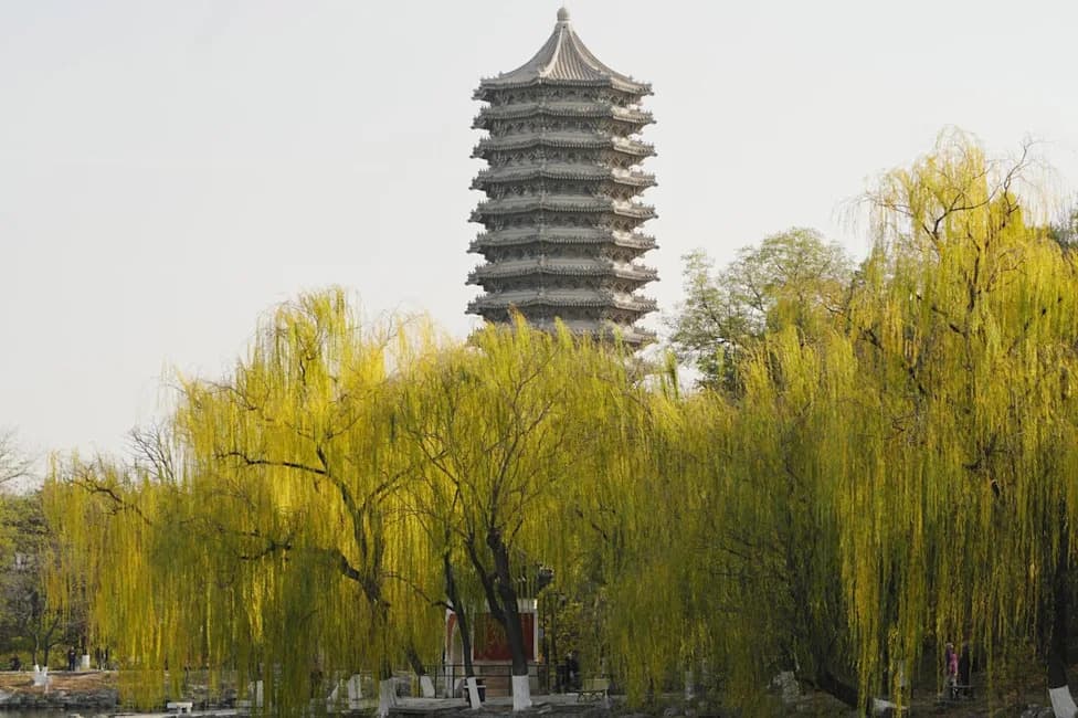 Some Urban Trees May Increase Summer Ozone — New Study Urges Selective Planting