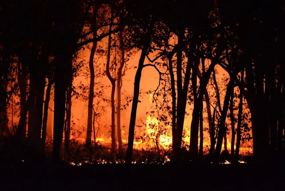 Climate Change Could Triple Europe's Burned Area Within 75 Years, Study Warns