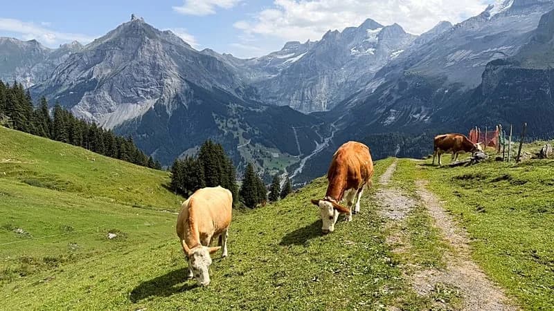 Looming Rock Threat: Swiss Village Could Face Landslide Twice The Size Of Blatten Event