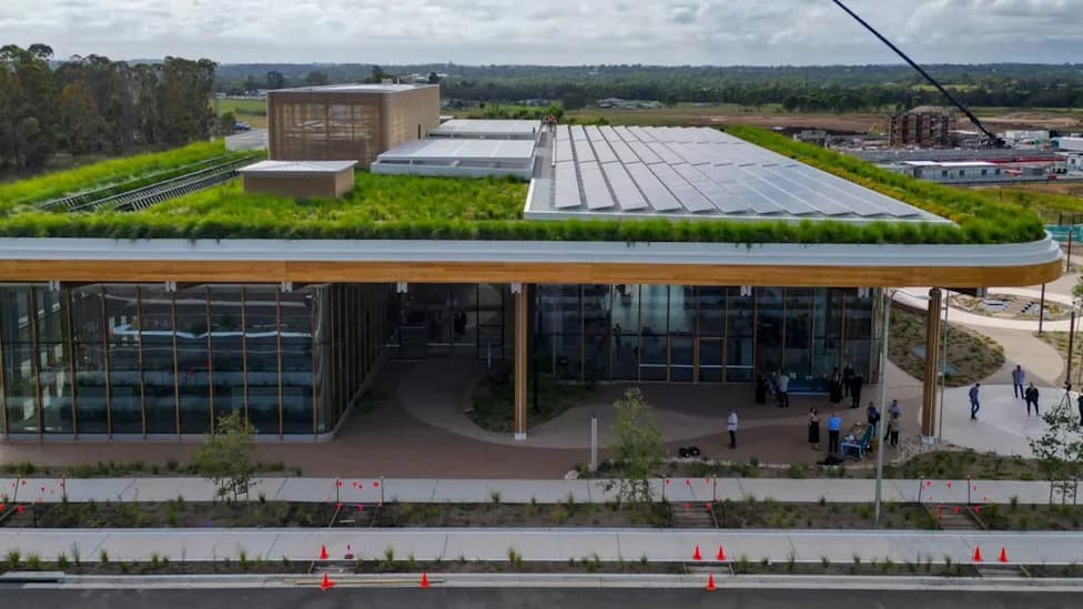 How 14,000 Native Plants Helped a Sydney Rooftop Solar Array Produce Up to 23% More Power