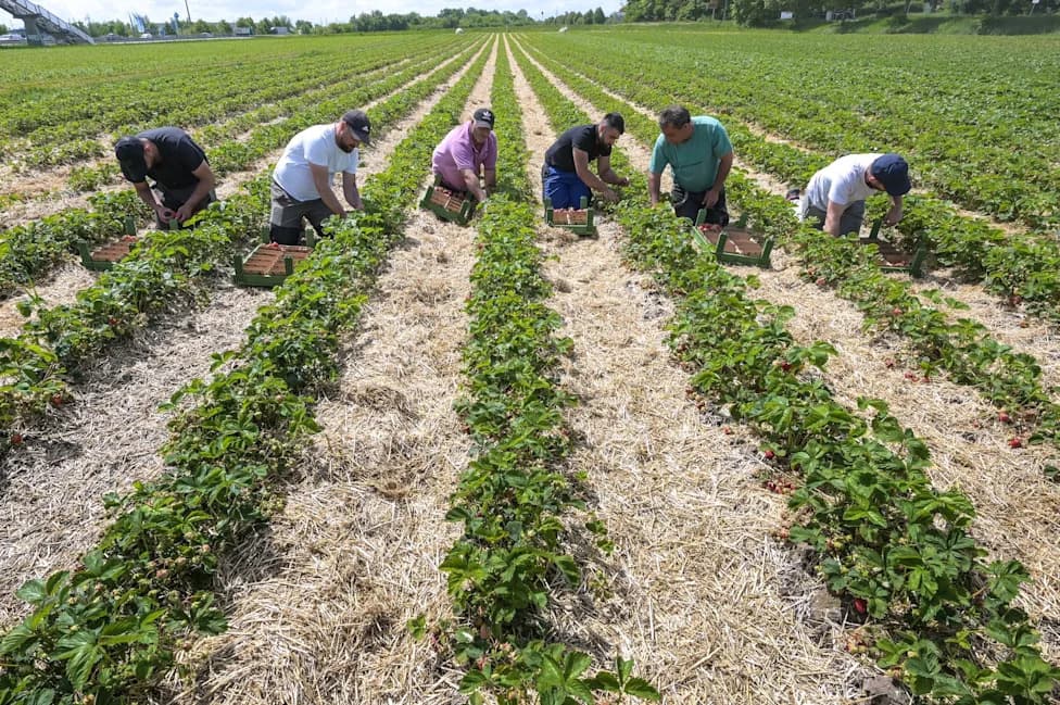 Study Warns Eastern Germany Could Lose Over One-Fifth Of Workers By 2045 Without Immigration