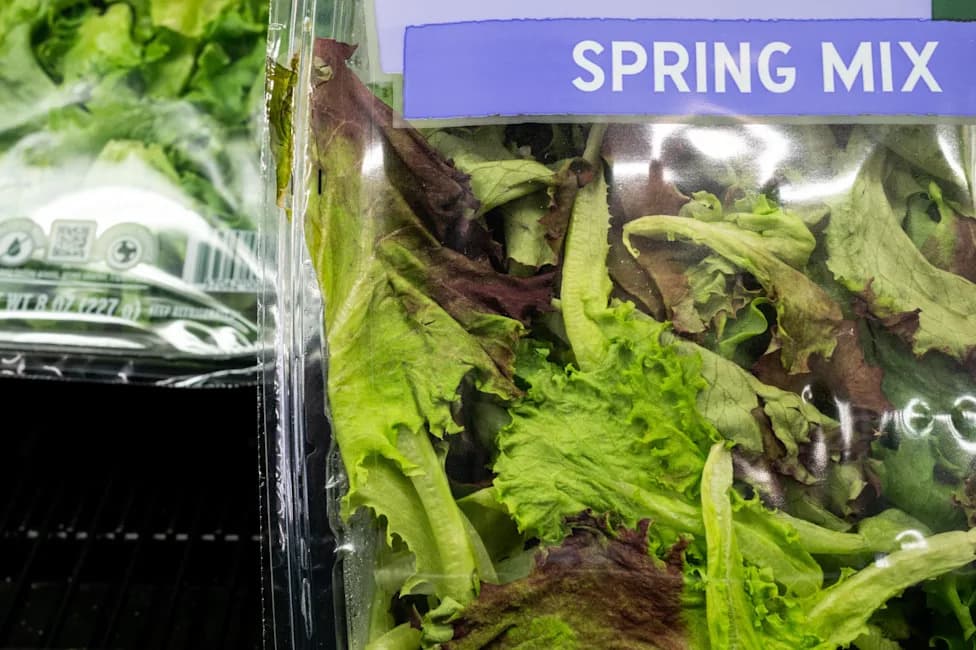 Is It Safe to Eat Lettuce? New Data Suggest Cyclosporiasis Cases Are Declining