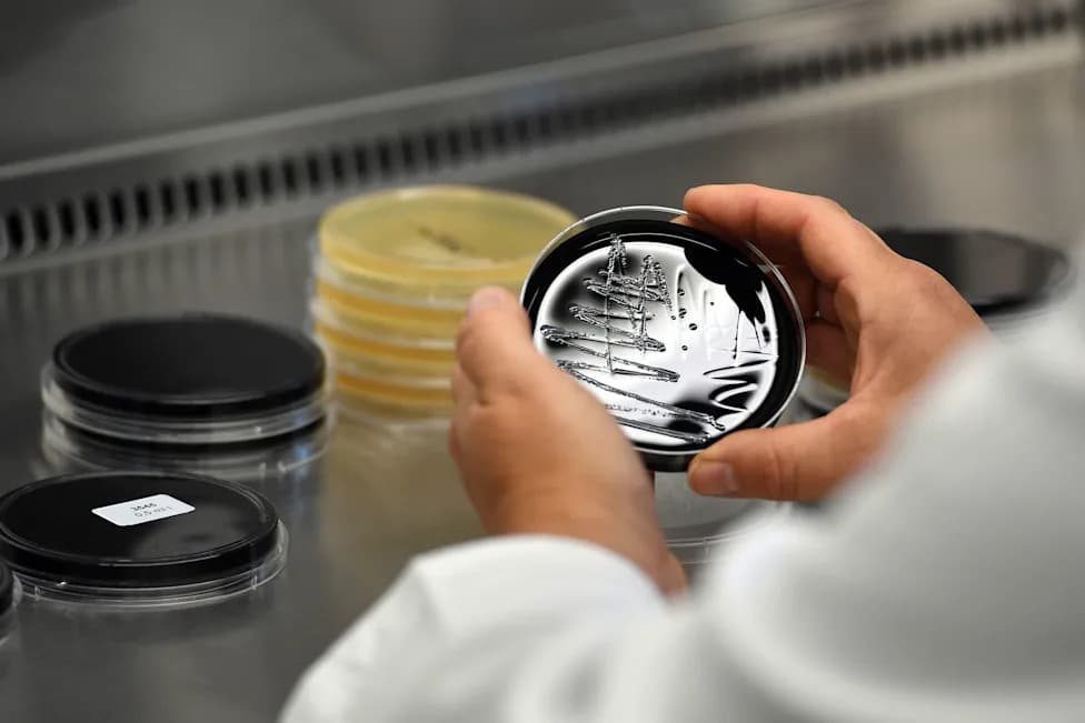 Premature Infant Dies After Enterobacter Infection in Paderborn Neonatal Unit