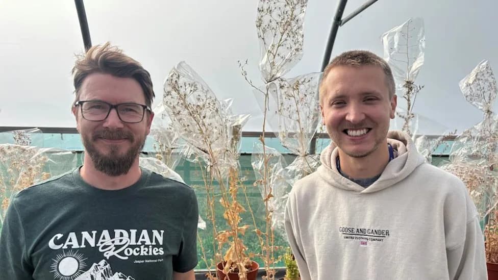 UK Researchers Race To Breed Heat- and Drought-Resistant Vegetables After Record Dry Spell