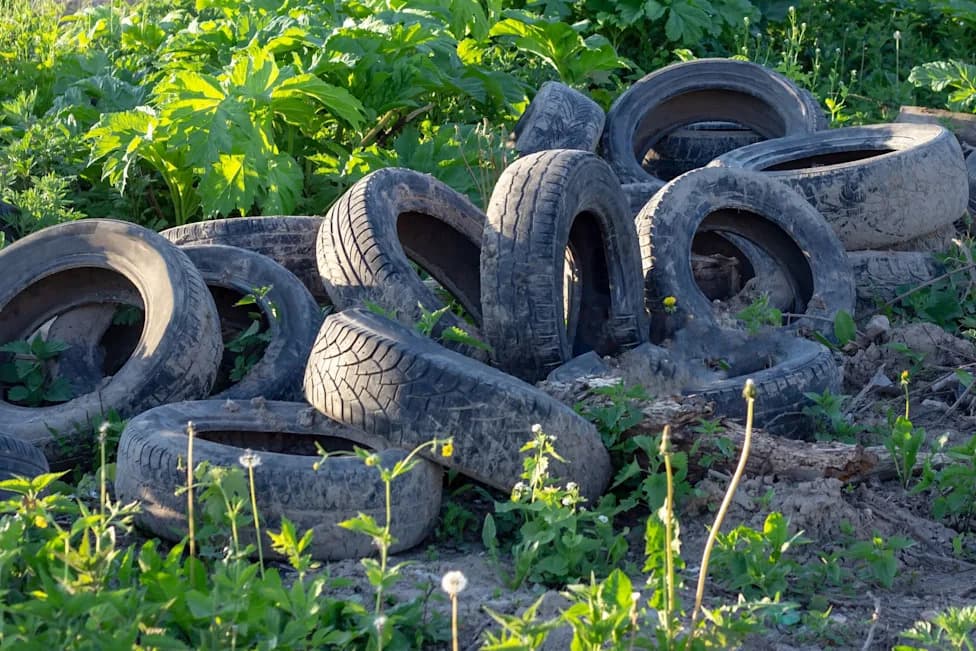 Tire Chemical Linked To Salmon Die-Offs — Washington Pushes For Safer Additive, But Solution May Take Years