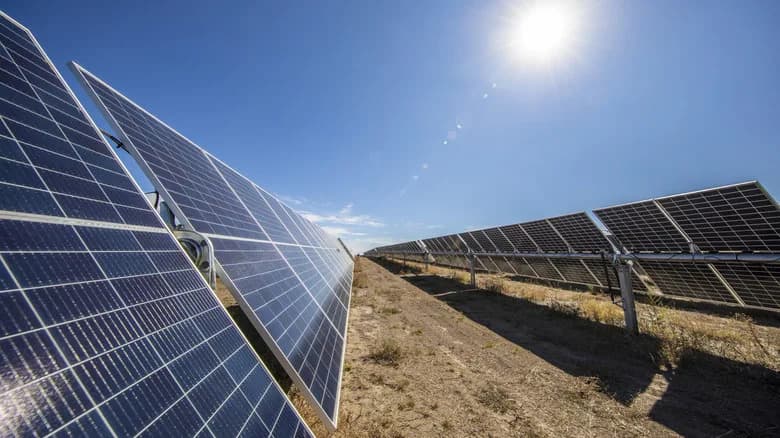 Major California Solar Projects May Threaten Endangered Desert Tortoises — Experts Warn
