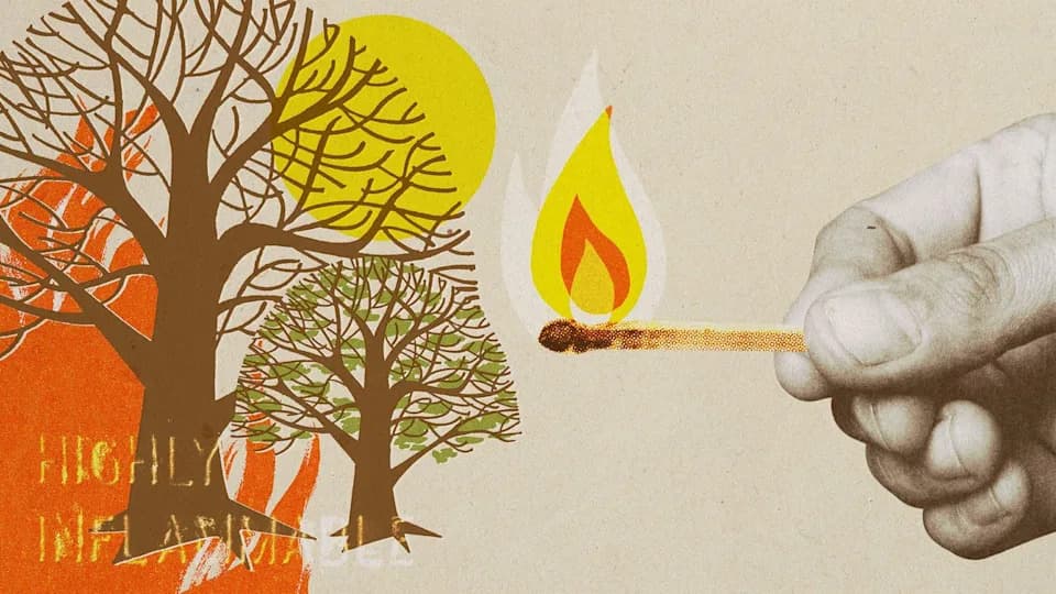 Why So Many Wildfires Are Set Deliberately — Arrests, Motives and Prevention Gaps
