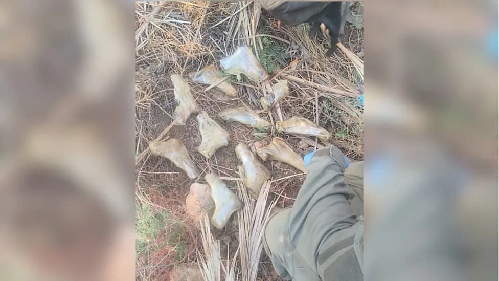 Two Jericho Men Arrested After Foiled Weapons-Smuggling Attempt Near Gesher Adam