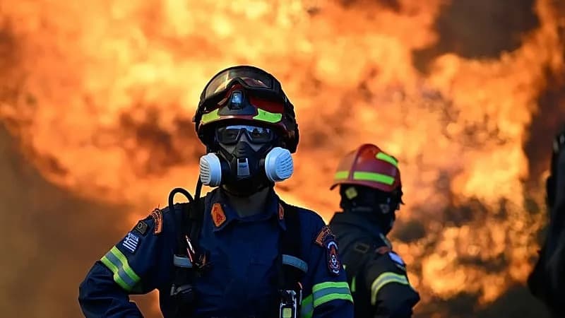 Which EU Countries Employ the Most Professional Firefighters — and How Prepared Is Europe for Worsening Wildfire Seasons?