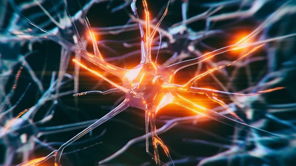 Two Injections Regrew Neurons and Restored Cognition in Alzheimer’s Mice Using Nano-ERASER