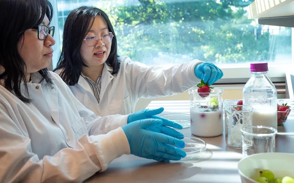 Seaweed-Based Edible Coating Keeps Strawberries Fresh For 4 Days — Cuts Waste And Emissions