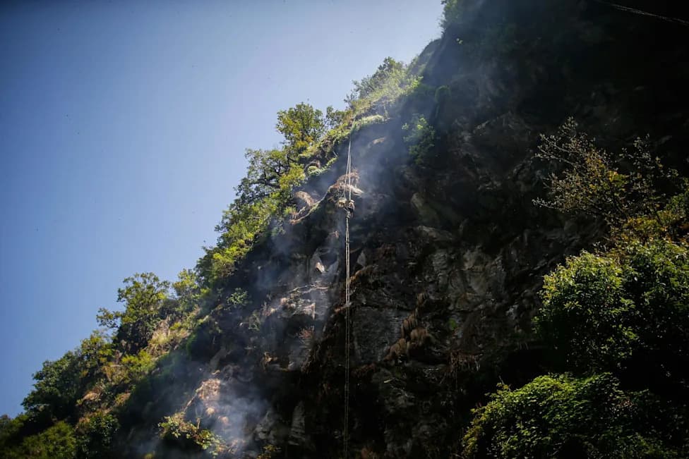 “Mad Honey” From Himalayan Cliff Bees Is Now Sold Worldwide — And It Can Stop Your Heart