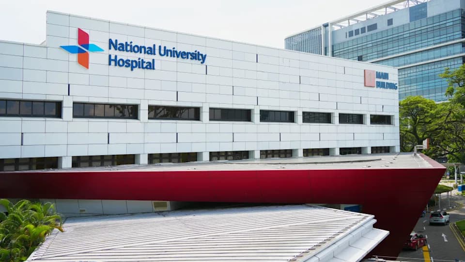 The Sustainability Paradox: Why Cutting-Edge Hospitals Must Also Be Green