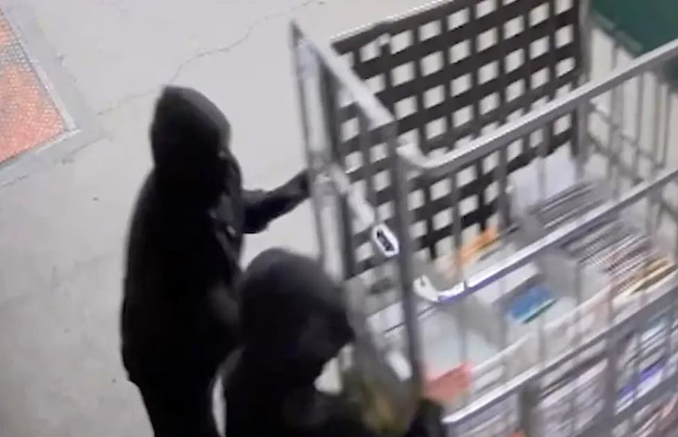 Masked Crew Caught on Camera Stealing Mail Carts From San Bruno Post Office; $150,000 Reward Offered