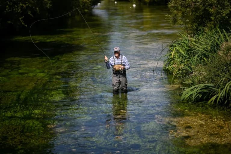 England’s Chalk Streams Heat Up: Trout and Salmon Face Growing Threats