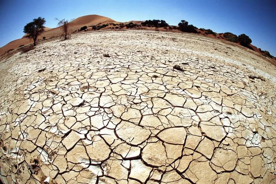 Desertification Costs Billions as COP17 Falls Short — What It Means for Food and Prices