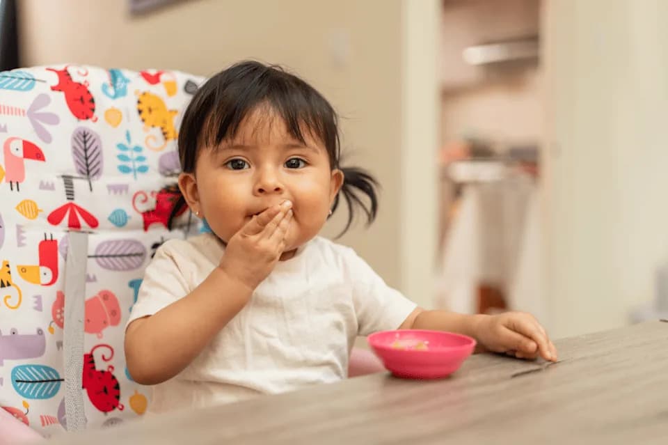 Early-Life Sugar Exposure Tied to Lower Adult Cancer Risk and Slower Biological Aging, 70-Year Natural Experiment Shows