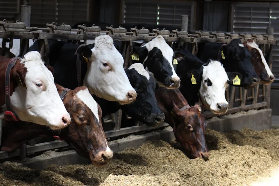 Canada Strikes Back: Targeted Tariffs Aim Political Pressure on Specific U.S. States