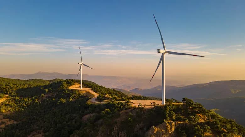 Wind Turbines Cause Far Fewer Bird Deaths Than Many Everyday Hazards — And Simple Fixes Help