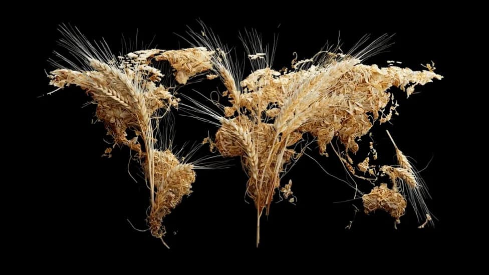 Of 30 Global Food Targets, Only One Is On Track For 2030 — A Stark Wake-Up Call