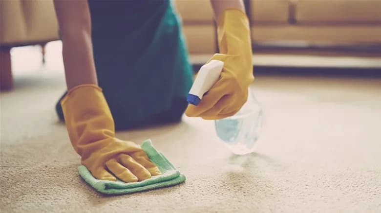 Common Cleaning Solvent TCE Could Be Banned in the U.S. — What Homeowners Need to Know