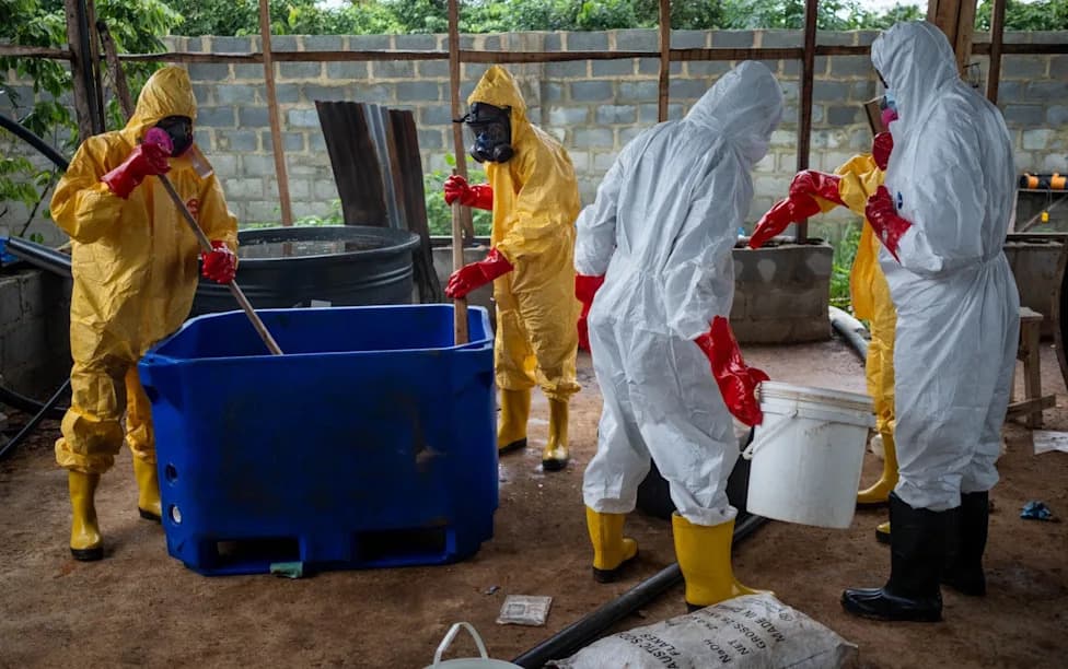 Mexican Cartels Send Expert 'Cooks' To Power Meth Super-Labs Across Africa