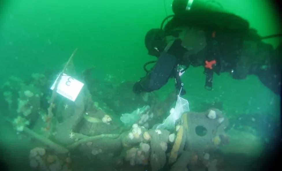 Century-Old German U‑boat Is Leaking TNT Into the North Sea — Threat to Seafood and Wildlife